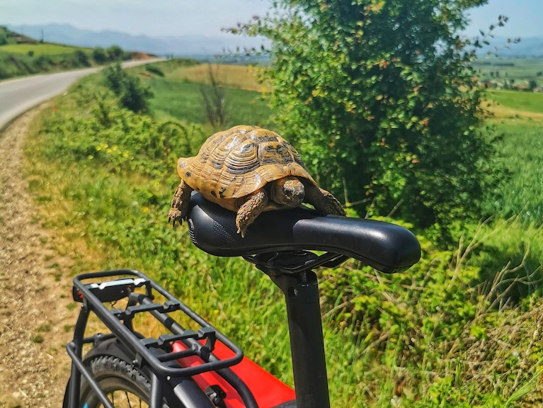 Велотур по Албанії